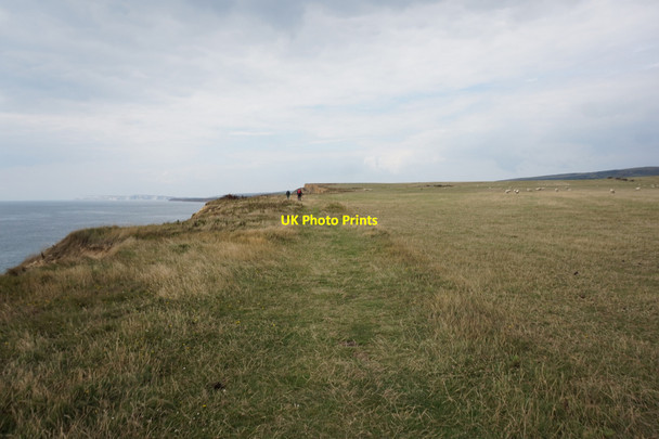 Photo 6"x4" Coastal path towards Barnes High Yafford c2015