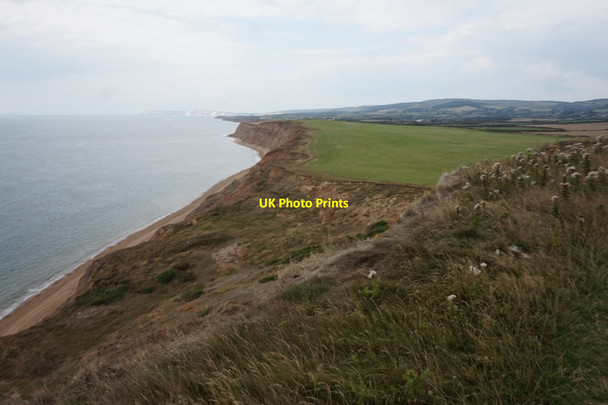 Photo 6"x4" Coastal path at Brighstone Bay Thorncross c2015