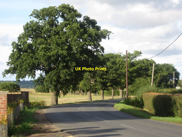 Photo 6"x4" Maidstone Road Underlining Green c2015