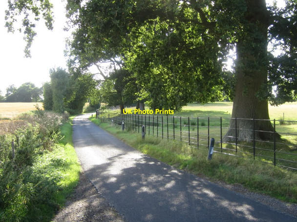 Photo 6"x4" Butt Green Lane Linton\/TQ7549 c2015