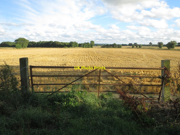 Photo 6"x4" Cleared crop field by Butt Green Lane Linton\/TQ7549 c2015