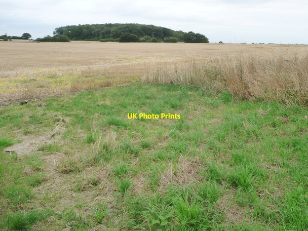 Photo 6"x4" Farmland north of Hillwatering Farm Langham\/TL9769 c2015