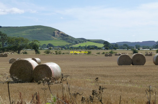 Photo 6"x4" Cylindrical bales of straw Fenton\/NT9733 c2015