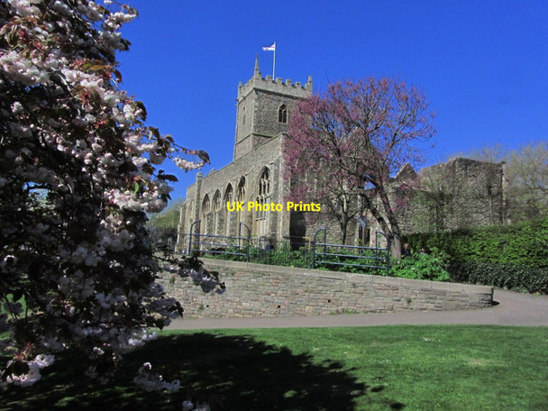 Photo 6"x4" Bristol - The ruins of St Peter's Church, Castle Park Bristol c2015