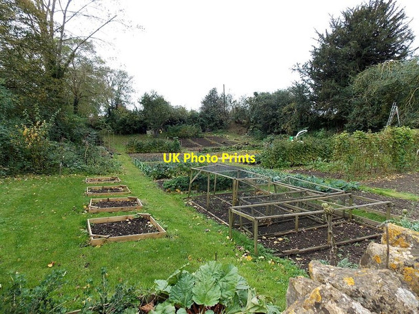 Photo 6"x4" Lacock allotments Lacock c2014