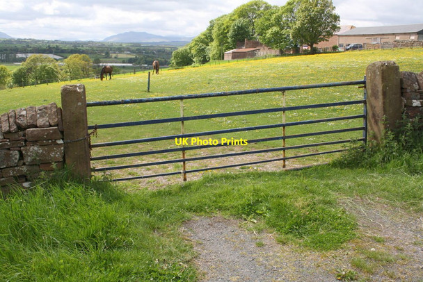 Photo 6"x4" Gateway to field, Inglewood Road Penrith c2015
