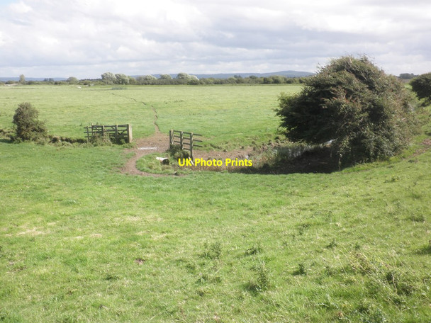 Photo 6"x4" Pasture at Wharf Farm Wick St Lawrence c2015