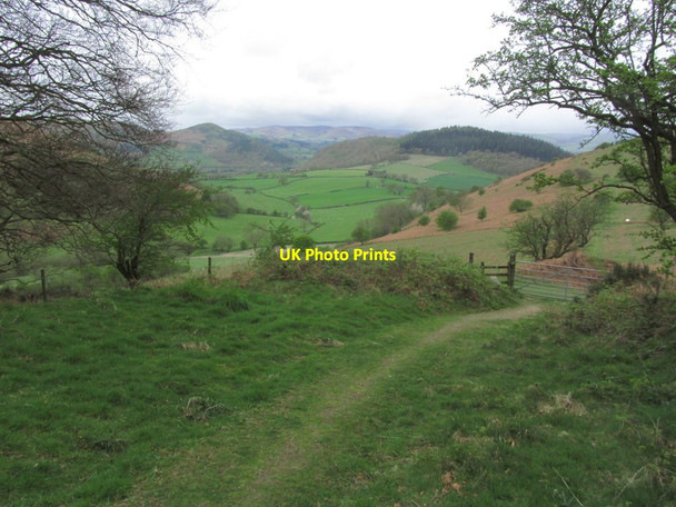 Photo 6"x4" On Offa's Dyke Path W of Rushock Hill near Kington Knill c2015
