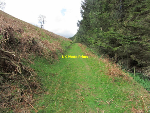 Photo 6"x4" Path contouring along northern base of Herrock Hill, Lower Harpton Lower Harpton c2015