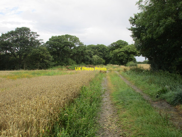Photo 6"x4" Owlethall Lane Laytham c2015 P1