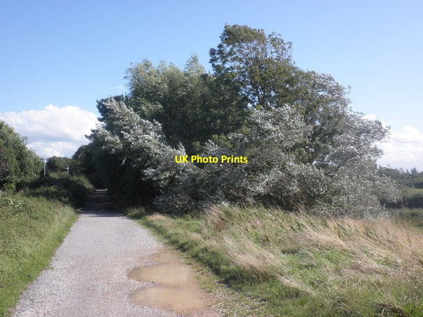 Photo 6"x4" Riverside path, Blind Yeo Clevedon c2015