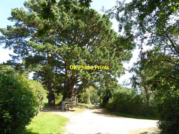 Photo 6"x4" Road junction north of Washington Road Sullington Warren c2015