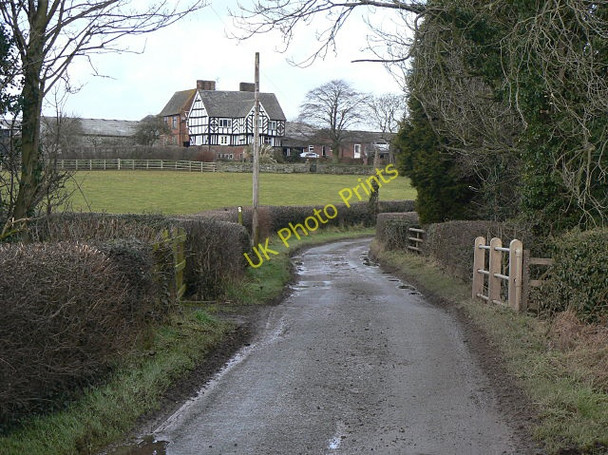 Photo 6"x4" Lane to Callowhill Dapple Heath c2009