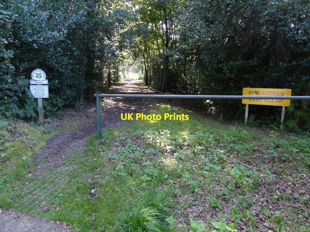 Photo 6"x4" Path into Sullington Warren from Water Lane Sullington Warren c2015