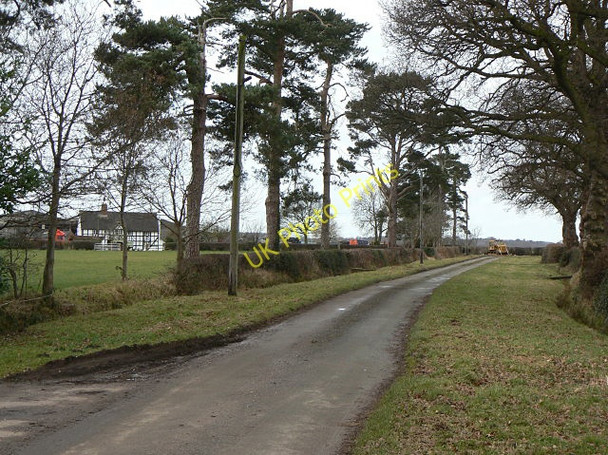 Photo 6"x4" The end of Heatley Lane. Dapple Heath c2009