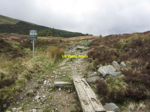 Photo 6"x4" Start of path leading up towards The Stony Top from beside Bullock Pass Brook Knockanarrigan c2015