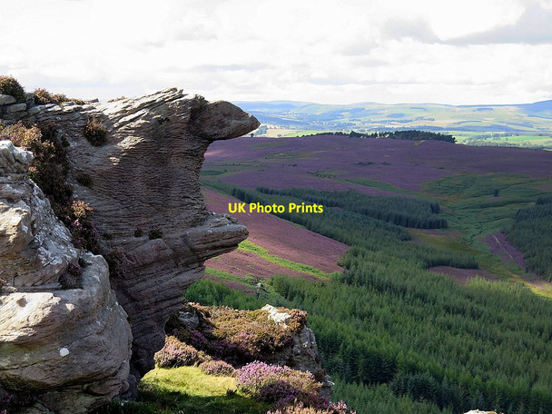 Photo 6"x4" Coe Crags Callaly c2015
