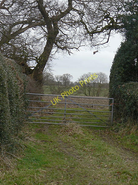 Photo 6"x4" Gateway off Heatley Lane Dunstal c2009