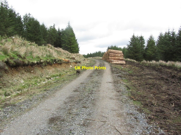 Photo 6"x4" Forestry track E of Black Hill, Wicklow Mountains Valleymount c2015
