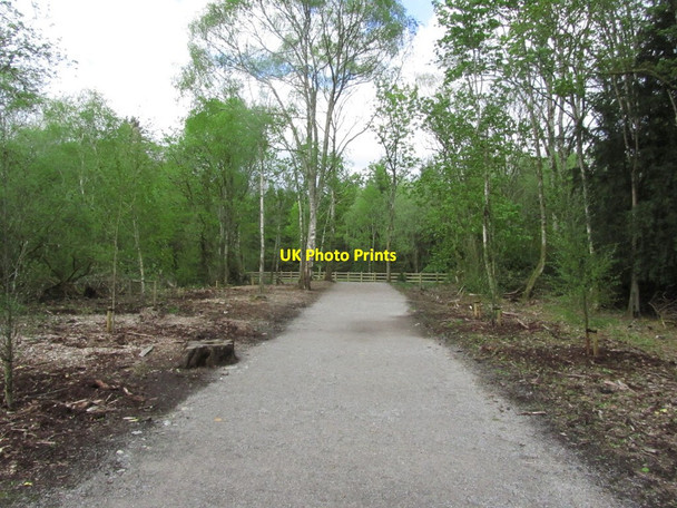 Photo 6"x4" Emo Court near Port Laoise - Path around Emo Lake Emo c2015