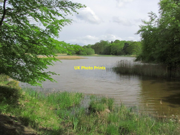 Photo 6"x4" Emo Lake - Grounds of Emo Court near Port Laoise Emo c2015