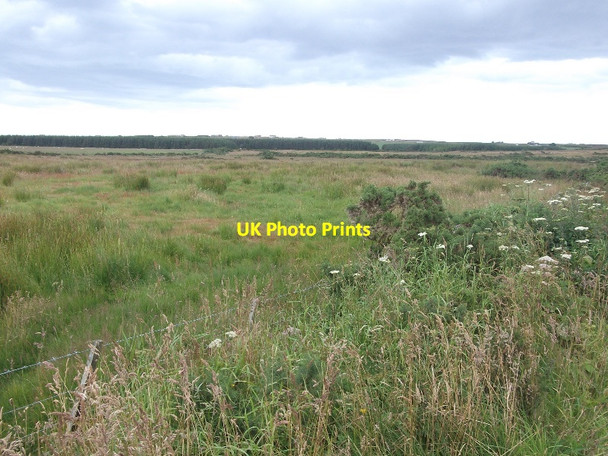 Photo 6"x4" Rough grazing, Mey East Mey c2015