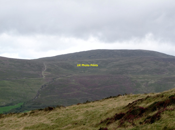 Photo 6"x4" The Finlieve Turbary Track ascending towards the Finlieve Ridge Attical c2015