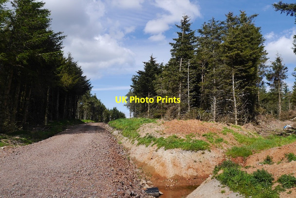 Photo 6"x4" Road, Crichness Hill Crichness Hill c2015