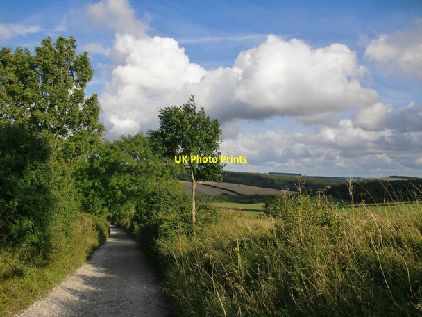 Photo 6"x4" Eastwards along the South Downs Way Cocking c2015