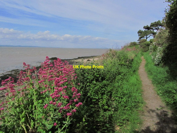 Photo 6"x4" Portishead - On coastal path between Black Nore Lighthouse & Sugar Loaf Beach Redcliffe Bay c2015