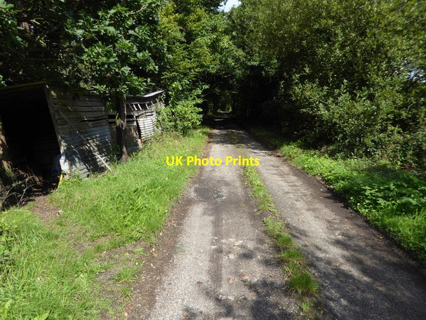 Photo 6"x4" Farm track to road at Cattlestone Farm Broadford Bridge c2015