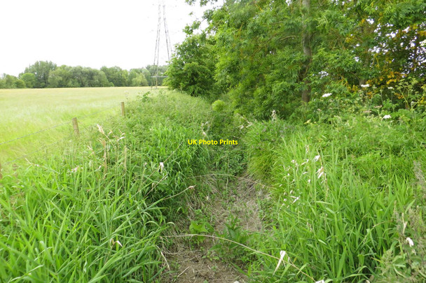 Photo 6"x4" A drainage ditch near Steventon Steventon\/SU4691 c2015