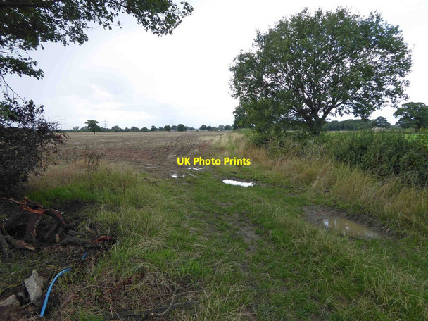 Photo 6"x4" Farmland near Thorpe in Balne Thorpe in Balne c2015
