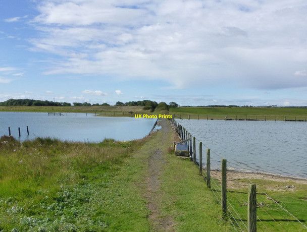 Photo 6"x4" Cresswell Causeway Cresswell\/NZ2993 c2015