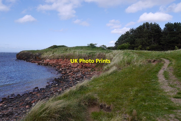 Photo 6"x4" Path to St Baldred's Cradle Tyninghame c2015