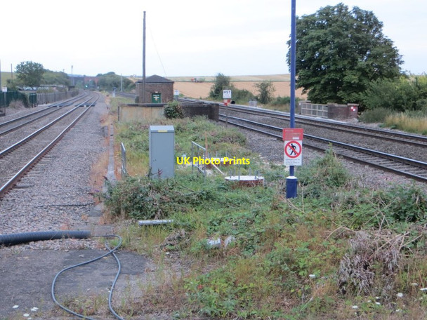 Photo 6"x4" Two in the Middle Cholsey c2015