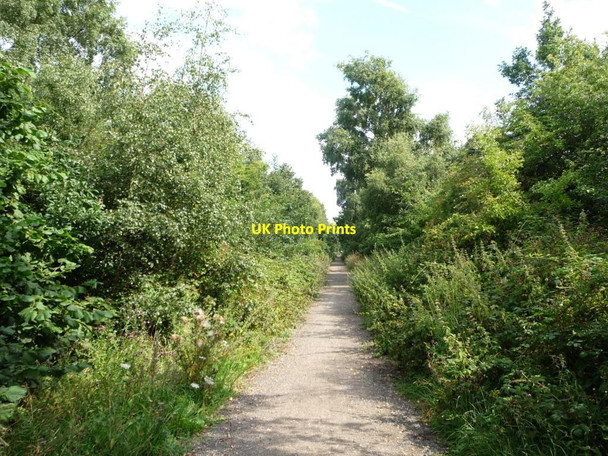 Photo 6"x4" Bridleway looking east, near Notton Royston\/SE3511 c2015