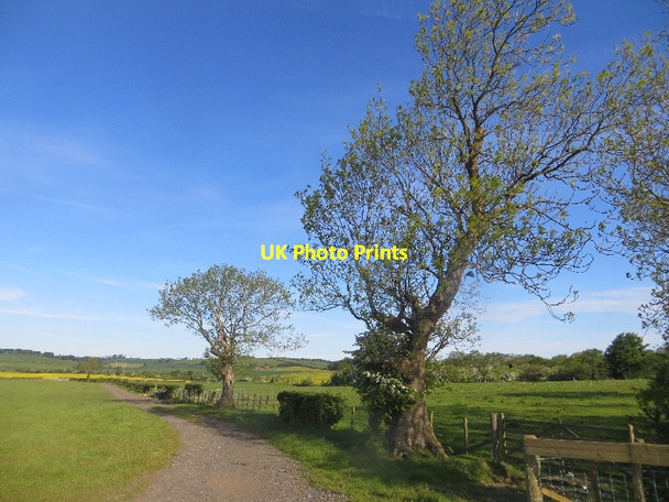 Photo 6"x4" Ashes off Ecclesmachan Road Ecclesmachan c2015