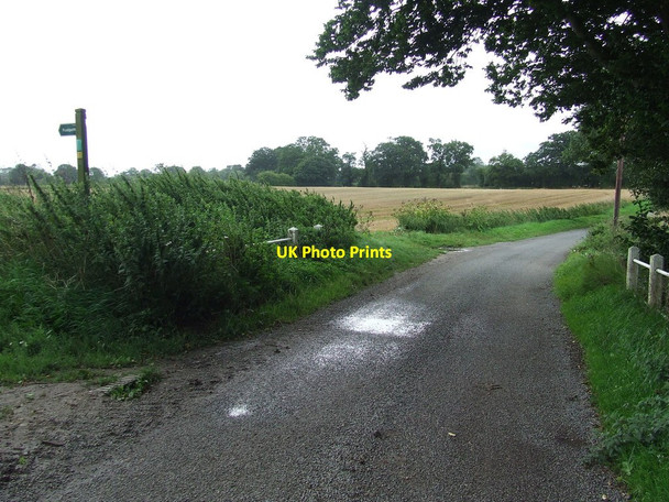 Photo 6"x4" Footpath off The Causeway Westhall\/TM4181 c2015