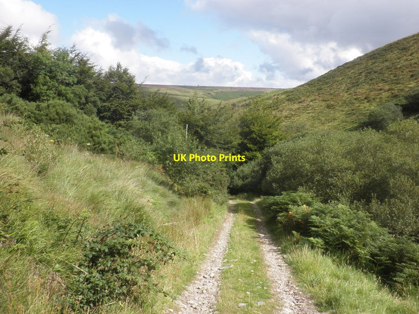 Photo 6"x4" Track to Lower Sherdon Withypool c2015