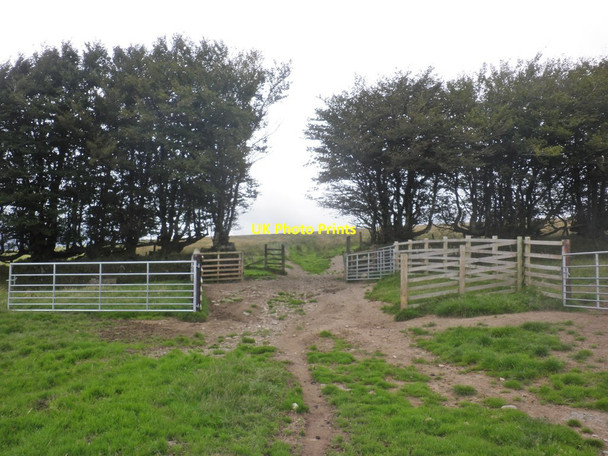 Photo 6"x4" Gateway, leading to Horsen Hill North Radworthy c2015