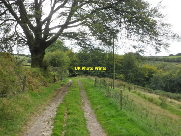 Photo 6"x4" Track to Sherdon Cottage North Radworthy c2015