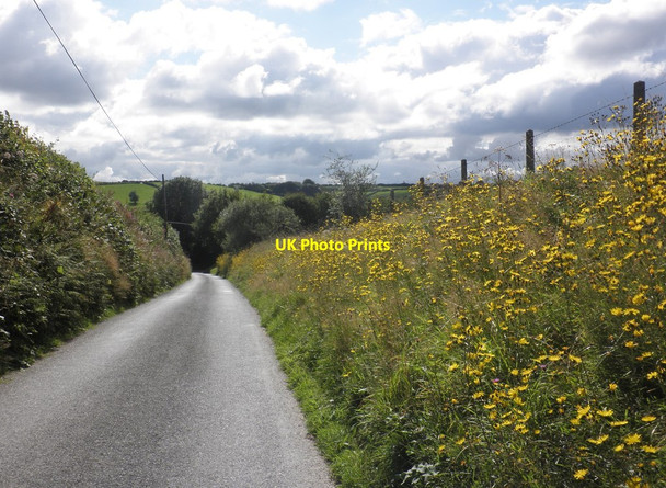 Photo 6"x4" Minor road to Heasley Mill Bentwichen c2015