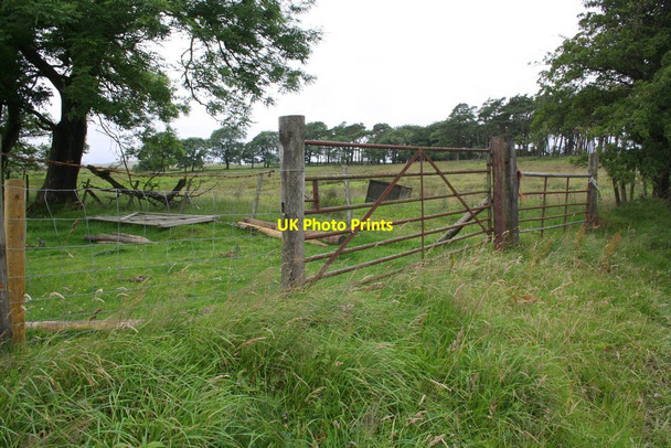 Photo 6"x4" Gateway with modern gateposts on Pikestone Lane Roundthwaite c2015