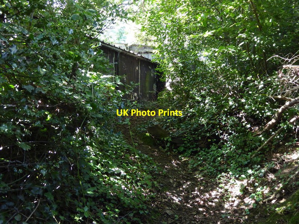 Photo 6"x4" Kink in footpath east of Mutton's Lane Heath Common\/TQ1114 c2015