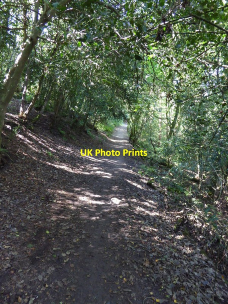 Photo 6"x4" Ascending footpath across Washington Common Heath Common\/TQ1114 c2015