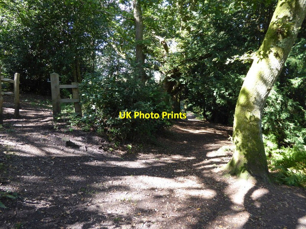Photo 6"x4" Descending path on Washington Common Heath Common\/TQ1114 c2015
