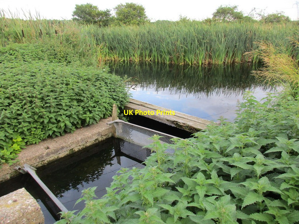 Photo 6"x4" River Poulter Hardwick Village c2015