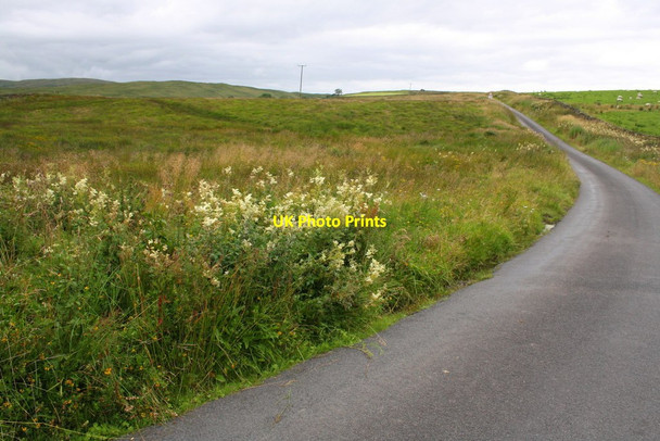 Photo 6"x4" Minor road SW of Brackenhill Greenholme\/NY5905 c2015
