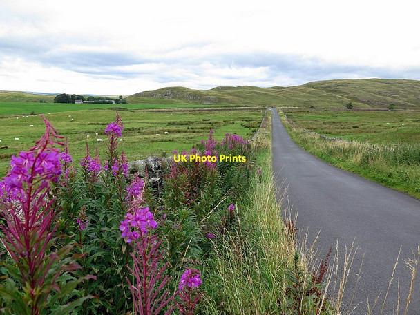 Photo 6"x4" Minor road near Hallpeat Moss Melkridge c2015